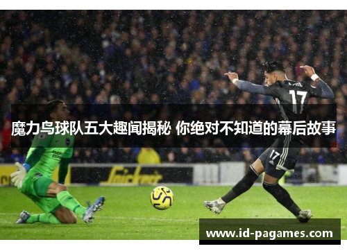 魔力鸟球队五大趣闻揭秘 你绝对不知道的幕后故事 魔力鸟球队五大趣闻揭秘 你绝对不知道的幕后故事