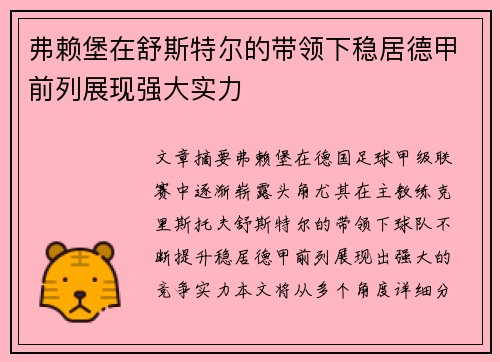 弗赖堡在舒斯特尔的带领下稳居德甲前列展现强大实力